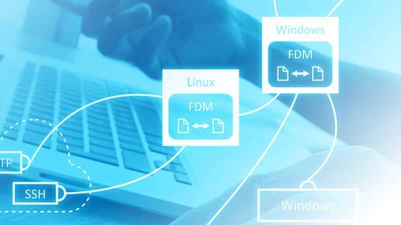 Webinar File-Automation